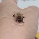 밝은빛유치원 이미지