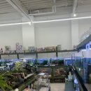 엔젤아쿠아펫가든 이미지