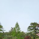 20260421리베라cc 이미지