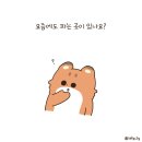 추억바베큐 이미지