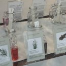 나를 찾는 여정 컬러테라피 이미지