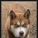 미백세탁소 이미지