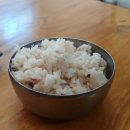 고대산 다슬기 이미지