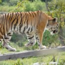 황제농원 이미지