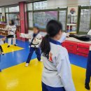 동탄MTA태권도장 이미지