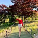화접5리 | 산들소리 수목원 후기, 별내 산들소리 수목원 불암산 자락 힐링 데이트 코스 총정리