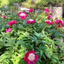 율곡자동차 이미지