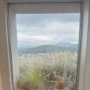 스테이 앤 다이닝 산 이미지