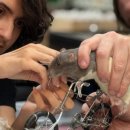 MAD AND MUSCLE 이미지