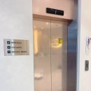 김현태김동민 동물의료센터 | [다대포 동물병원] 김현태김동민동물의료센터 진료 후기