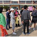 광성초등학교 이미지