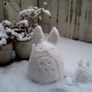 더편한한의원 이미지