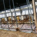 호운농장 이미지