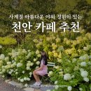 동남(풍세)-22-04 | 천안 데이트 드라이브 코스 추천 태학산 천안 브런치카페 피노카페