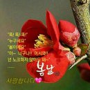 2002돼지마을식당 이미지