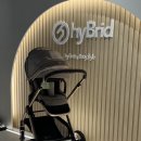 소망세탁 | [내돈내산] 하이브리드 사이러스2플러스 절충형, 휴대용 1+1 유모차 솔직 후기