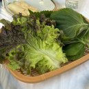 신선하고 착한가격의 횟집을 찾으신다면 “경남수산” 포장배달 가능한 횟집 내돈내산 추천후기!(신메뉴...