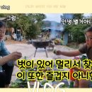 안면도덤앤더머 이미지