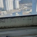 (주)새생명약품 | 우리 집 에어컨, 새 생명 불어넣은 썰 푼다