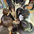 애교리 마을회관 옆 | 병둥이들이랑 우당탕탕 1박2일 전주여행