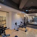 온더휘트니스 이미지