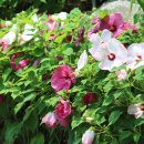 이룬농장 이미지