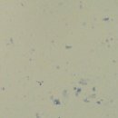 이지동물병원 이미지