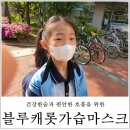 퍼비스코리아 | [대표카페지후맘/퍼비스코리아]숨쉬기 편안 가습마스크 블루캐롯 힐링타임