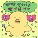 해피한 안경 이미지