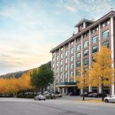 윌골프연습장 이미지