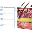 엘리스스튜디오 이미지