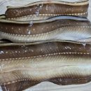 통영바다장어구이 - 천안시 서북구 입장시장3길 7 | 통영바다장어구이