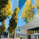 투썸플레이스 포이DI점 이미지