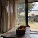 애월류가 이미지