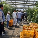 길곡초등학교 이미지