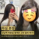 강남역 미용실 염색 차심 본점 뮤트브라운 후기