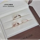팀 펜로즈 네이버블로그