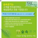 숲속공기 이미지