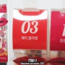 플럼블라썸 이미지