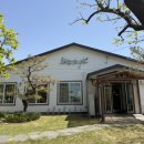 소나무집인카페보그너 | 담양 맛집 황금소나무🌿✨부모님 모시고 가기 좋은 식당