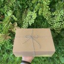 2901(이구영일) 이미지