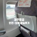4407 | 보홀 항공권 제주항공 탑승후기 7C4407 좌석, 기내식, 필리핀 입국시 면세쇼핑 주의