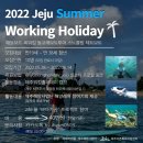 글로벌제주문화협동조합 | [모집 마감][2022 Jeju Summer WorkingHoliday] 제주썸머워킹홀리데이"제대로 준비했습니다"