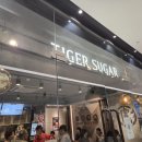 (주)홍천참숯 | [2025.6 속초] 1일차 속초 뚜벅이여행 주말 1박2일 코스 속초중앙시장 현태네튀김 팡파미유 속초딸기...