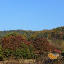 우리켄넬 이미지