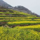 남해-277 이미지