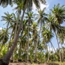 성의농장 이미지