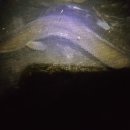 후산낚시터 이미지