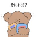 스케쳐스시흥