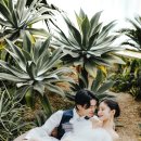 허밍스튜디오